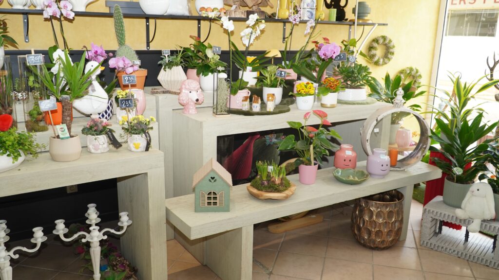 Intérieur de la boutique Jean de Fleurette avec ses fleurs et plantes